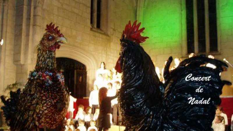 Concert de Nadal 2008